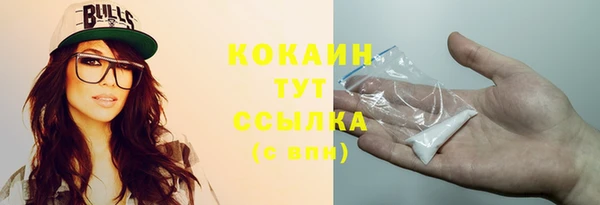 тгк Вяземский