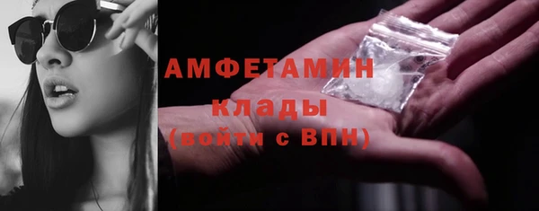 индика Вязники