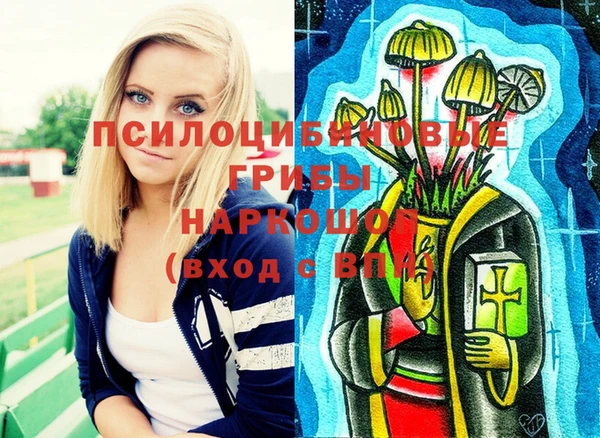 эйфоретик Горнозаводск