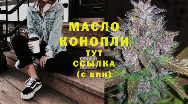индика Вязники