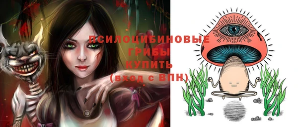 тгк Вяземский