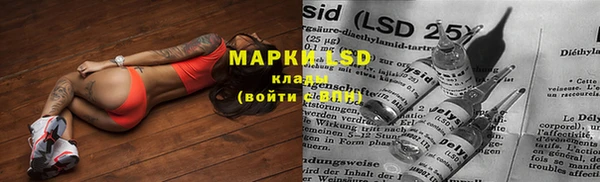 индика Вязники