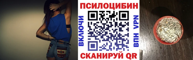 МЕГА зеркало  Елабуга  Псилоцибиновые грибы Psilocybine cubensis 